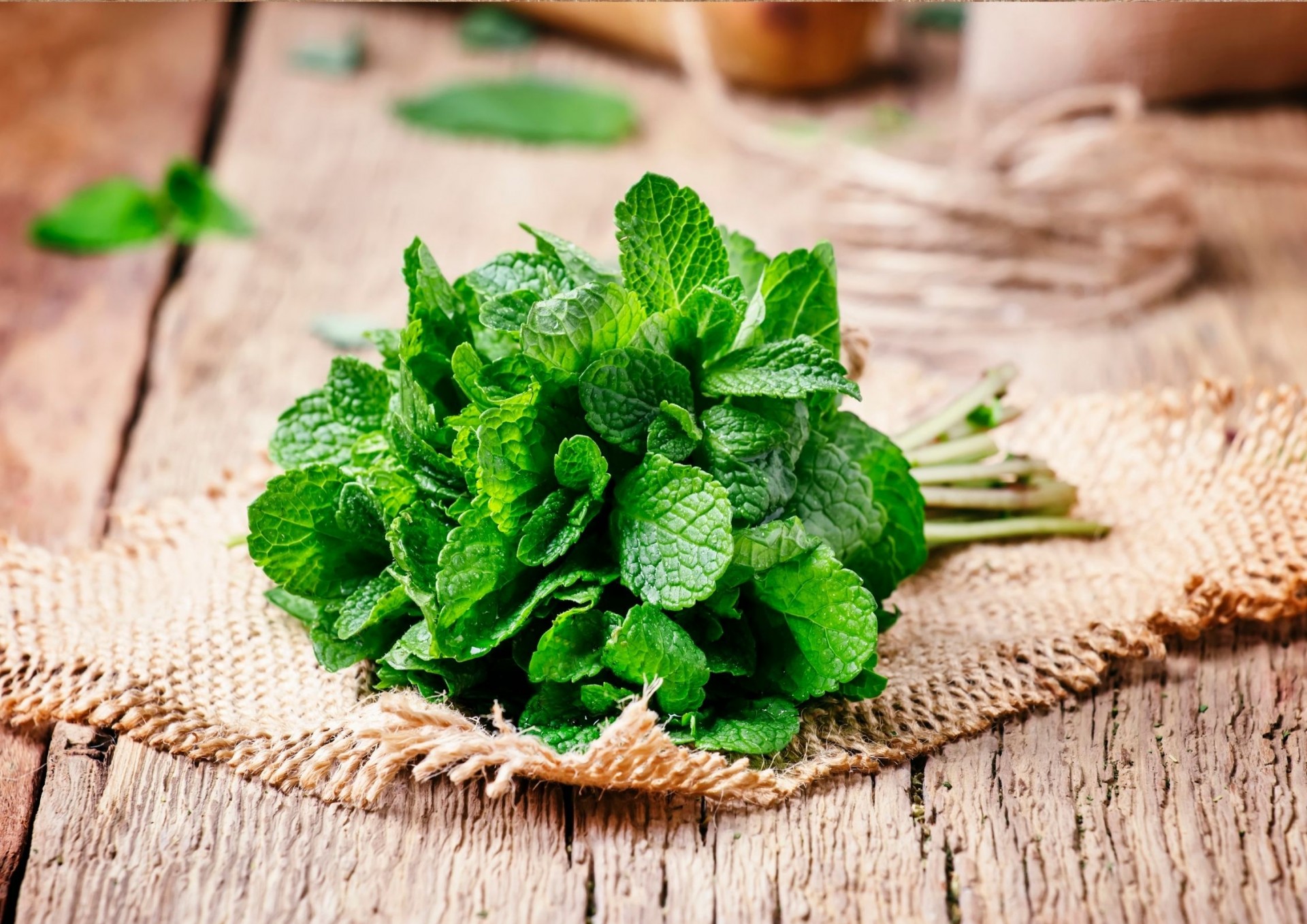 Bulk Buy Mint Wholesale | KFF